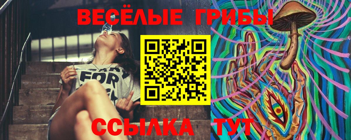 Псилоцибиновые грибы Psilocybe  Вход с VPN  Галлюциногенные грибы Magic Shrooms  Волжский 