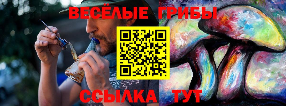 Галлюциногенные грибы мухоморы Волжский